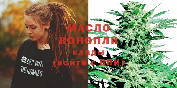 сатива Михайловка