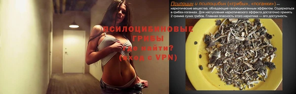 прущая мука Анива