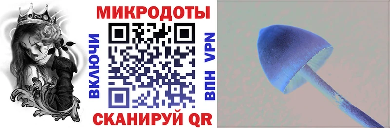 Псилоцибиновые грибы прущие грибы  блэк спрут зеркало  Избербаш 