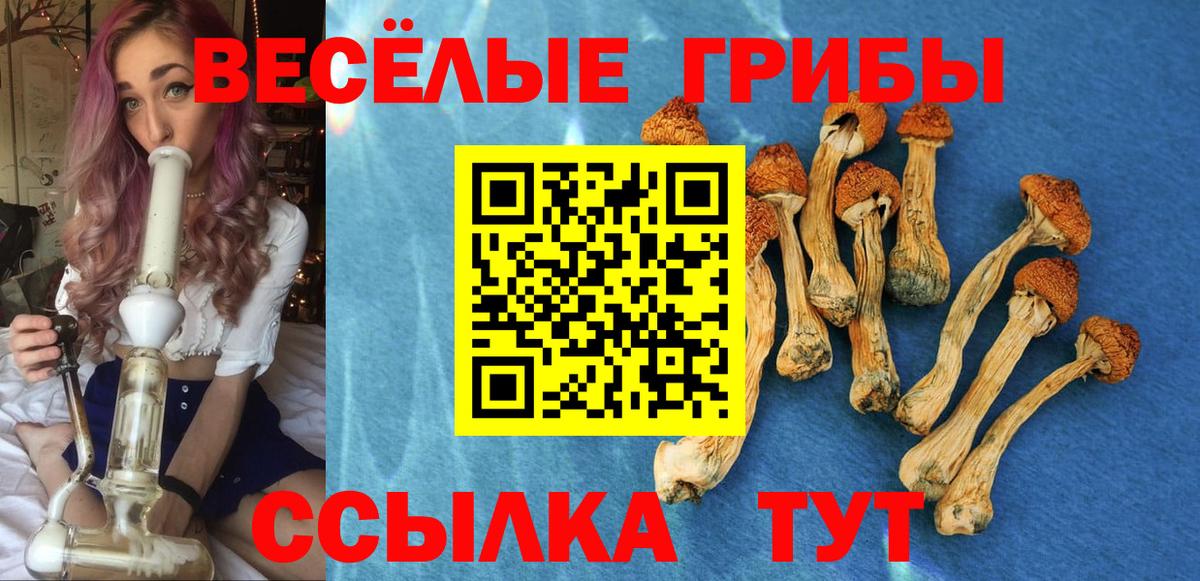 Галлюциногенные грибы ЛСД Избербаш