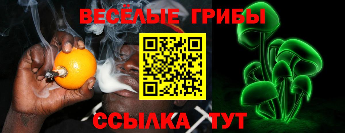 Псилоцибиновые грибы мицелий  Вход с VPN  Избербаш  Псилоцибиновые грибы прущие грибы 